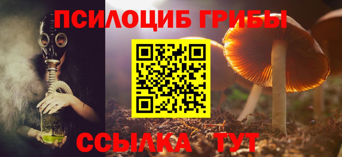 Псилоцибиновые грибы ЛСД  Вход с VPN  Малоярославец 